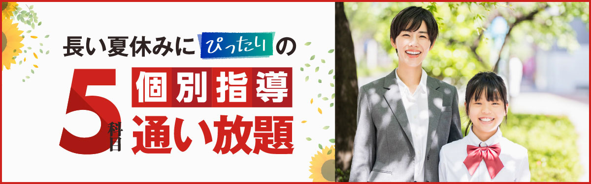 長い夏休みにぴったりの5科目個別指導通い放題